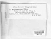 Image Associated With the Occurence